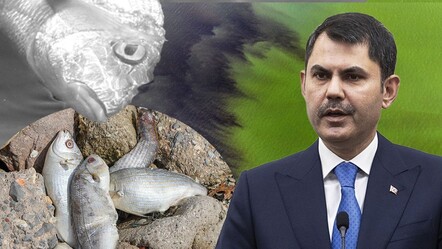 Bakan Murat Kurum'dan İzmir Körfezi'ndeki kirlilik hakkında açıklama: Amonyak miktarı olması gerekenden 50 kat fazla - gundem