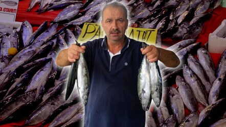 Denizden resmen fışkırıyor! Palamutun fiyatı sudan ucuz - ekonomi