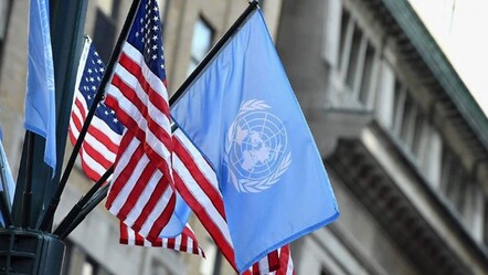 Dünya Türk aktivist Ayşenur'un ölümünde rahatsız! BM ve ABD İsrail'den kapsamlı soruşturma talep etti - dunya