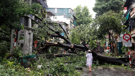 Vietnam'ı Yagi Tayfunu vurdu! 21 kişi öldü, 229 kişi yaralandı - Dünya