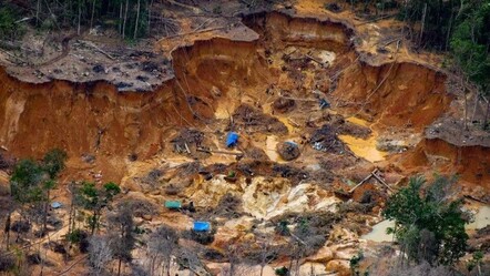 Amazon ormanlarından 3,1 ton altın çıkaran çeteye baskın! Çok sayıda gözaltı var - ekonomi