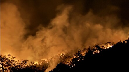 Hatay'da orman yangını çıktı! Çok sayıda ekip müdahale ediyor - gundem