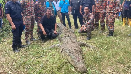 Çiftçiyi yiyen timsah, silahla vurularak etkisiz hale getirildi - dunya
