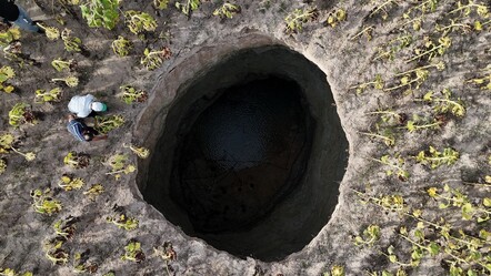 Konya'dan sonra şimdi de Eskişehir! Çifteler'de ayçiçek tarlasındaki devasa obruk görenleri korkuttu - gundem