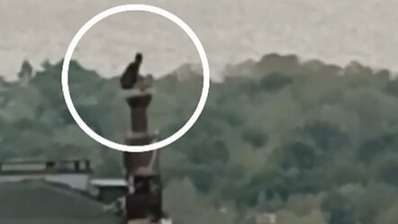 Samsun'da aranan firari şahıs, çıktığı çatıda kıskıvrak yakalandı - gundem