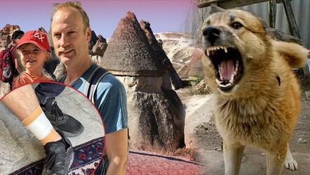 Kapadokya'da başıboş köpek skandalı! Avusturalyalı turist kucağında bebeğiyle saldırıya uğradı - gundem