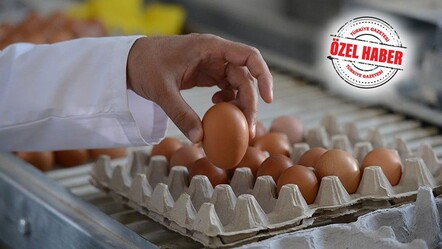 Yumurtaya yeni düzenleme! İsrafı önlemek için neler yapılacak? - ekonomi