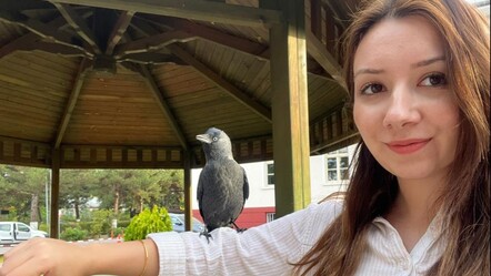 Kadrolu karga! Her gün Sivas İl Sağlık Müdürlüğü'nde mesai yapıyor - gundem