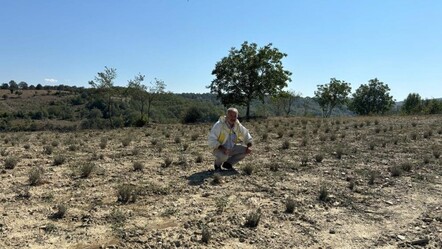 Samsun'da hobi olarak başlamıştı! Kilosunu 400 TL'den satıyor - teknoloji