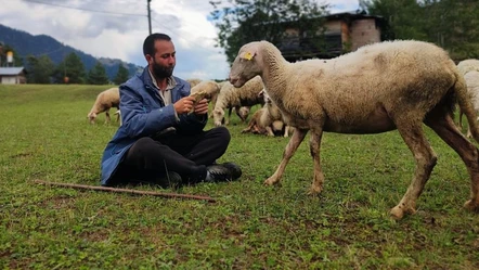 Hayatın cilvesi! İki üniversite bitiren genç, çobanlık yapıyor - Yaşam