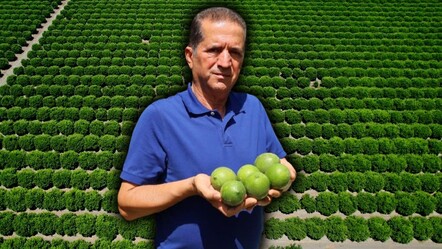 Tarladan markete gelene kadar fiyat 3 katına çıkıyor! Bahçede 8, tezgahta 25 lira - ekonomi