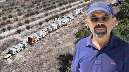 Devlet desteği ile başladı! Piyasada nadir bulunuyor, kilosunu 500 liradan satıyor - ekonomi