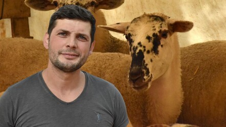 Gurbetçinin böylesi! Türkiye'ye döndü, yeni koyun ırk geliştirdi - yasam