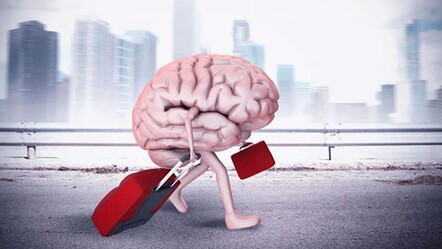 TÜİK açıkladı: Beyin göçü oranımız arttı  - haberler