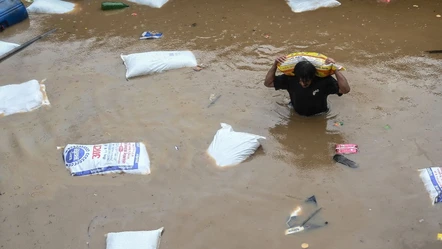 Ülke sele teslim! 59 kişi öldü, onlarca kayıp var - Dünya