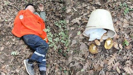Yer: İstanbul! Mantar toplamaya gitti, kabusu yaşadı - gundem