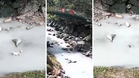 Masmaviydi bembeyaz oldu! Rize'deki derede şaşkına çeviren görüntü - Gündem