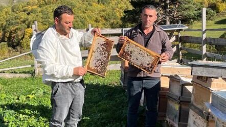 3-5 kişi uğraşıyordu, bütün köye yayıldı! Farklı rengiyle herkesin yeni gelir kapısı oldu - ekonomi