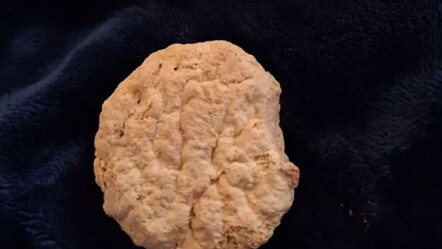 Ölen büyükannenin buzdolabından çıktı, tam 84 yıllık! Yanında bir de not var - dunya