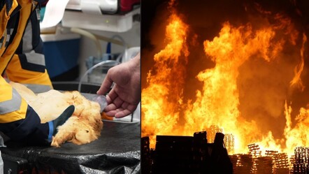 Bursa'da yürekleri ısıtan müdahale... Yangının ortasında bulundu - gundem