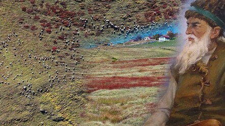 Buraya zarar vermenin cezası 3 yıl hapis! Doğal sit alanı Ağaçbaşı Turbalığı asırlardır korunuyor - haberler