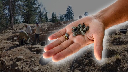 Mersin'de 9 bin yıllık höyükte zeytin çekirdekleri bulundu! Yumuktepe kazıları sona erdi - kultur-sanat