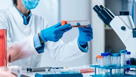 Alzaymıra yerli ve millî çare! İlaç çalışmaları olumlu - ekonomi