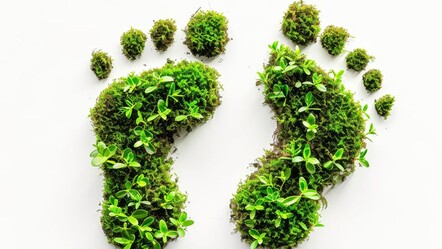 Karbon ayak izi nedir? Nasıl azaltılır? - haberler