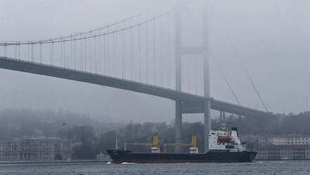 İstanbul Boğazı'nda gemi trafiği durdu - gundem