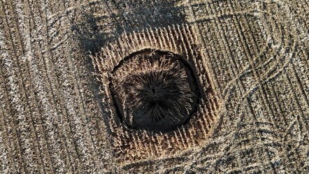 Mısır tarlasında oluştu, görenler şaşkına döndü! Bir ev büyüklüğünde... - ekonomi