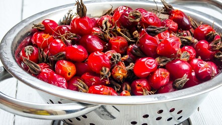 Minik şifa deposu! Doğada kendiliğinden yetişiyor... Bağışıklığı çelik gibi yapıyor ancak dikkat - yasam