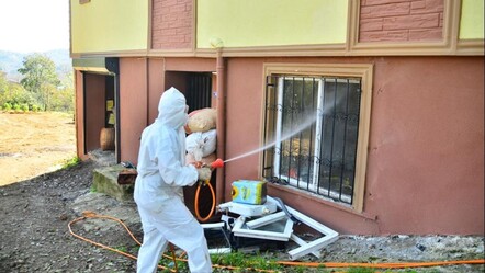 Samsun'da kokarca alarmı! Mahalleli seferber oldu, 550 ev birden... - gundem