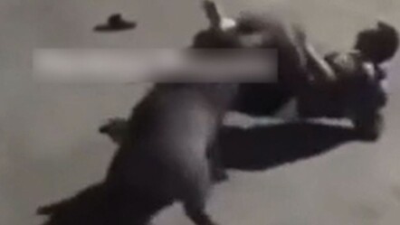 Yaban domuzu Sarıyer'de işçilere saldırdı! Vahşi hayvan bir işçiyi ısırırken, diğerleri damacana ve süpürge ile domuza vurdu - gundem