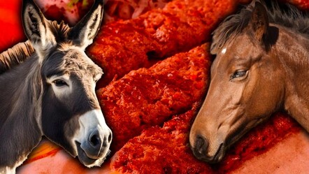 Bu iki kentte risk çok büyük! İşte vatandaşa en çok at ve eşek eti yedirilen iller - ekonomi