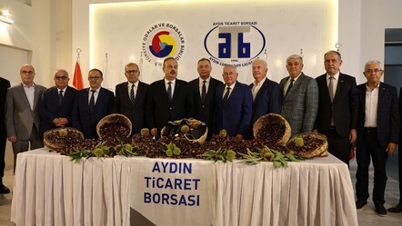 Sezonun ilk hasadı! Kilosu 500 liradan satıldı - ekonomi