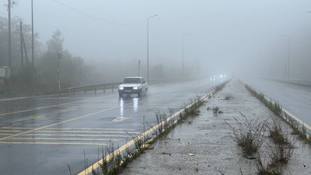 Bolu'da yoğun sis etkili oldu! Göz gözü görmedi - gundem