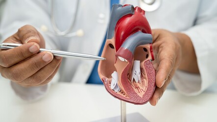 Kalp krizini ortaya çıkaran çip! Basit bir kan testi ile anlaşılacak - saglik