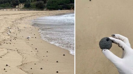 Sahili kaplayan siyah cisimler halkı tedirgin etti: Dokunmayın, yaklaşmayın - dunya