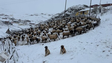 Kışın ayak sesleri! Yer yer sıcaklıklar düştü, kar geldi... İstanbul'da hava nasıl olacak? - haberler