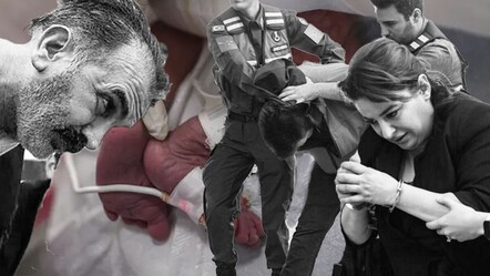 Yenidoğan çetesi Sağlık Bakanlığı denetiminden nasıl kaçtı? - gundem