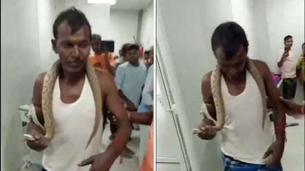 Hindistan’da akılalmaz olay! Kendisini ısıran yılanı boynuna sarıp hastaneye gitti - dunya