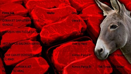 Dana diye at ve eşek eti yedirmişler! Gıdada hile yapan yeni firmalar açıklandı, işte o markalar - ekonomi