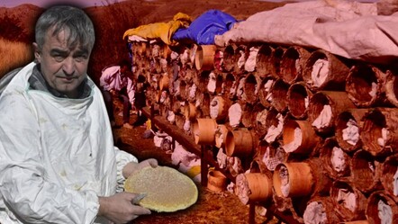 Hasat başladı! Dünyaca ünlü karakovan balının kilosu 2 bin liradan satılıyor - guncel