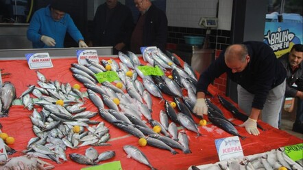 Olumsuz hava şartları balık fiyatlarını etkiledi! Palamuda büyük zam - haberler