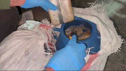 Balıklarla kamufle etmeye çalışmışlar! Malatya'da görülmemiş uyuşturucu operasyonu - gundem