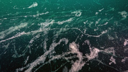 Marmara'yı saran tehlike yeniden ortaya çıktı! Uzmanlardan müsilaja karşı acil önlem çağrısı - gundem