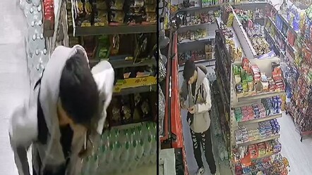 Arnavutköy'de bir grup genç marketten Dubai çikolatası çaldı - yasam