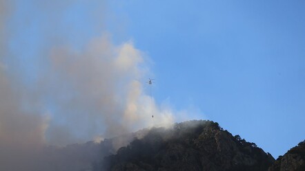 5 gündür devam ediyordu! Denizli'deki orman yangını söndürüldü - gundem