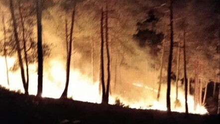 Kütahya'da sıcak saatler! Orman yangınına çok sayıda ekip müdahale etti - gundem