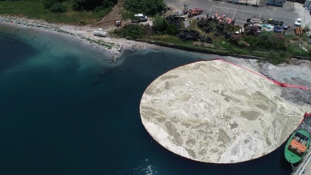 Sessiz ve derinden geliyor! Marmara Denizi'ndeki büyük tehlike 24 metreye kadar ulaştı - Gündem